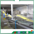 fruit and vegetable processing line